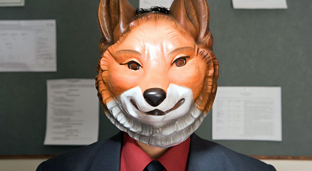 Vorsicht, Sparfuchs! Wer gegen ein Exemplar dieser Gattung erfolgreich Preise verhandeln will, sollte einige Regeln beachten.