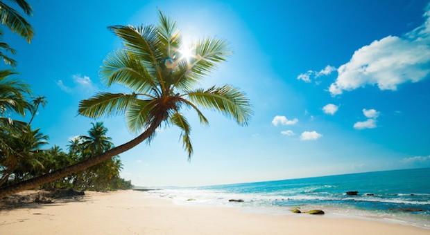 Allein auf einer Palmeninsel - Robinson war für den impulse-Herausgeber Johannes Gross das Urbild des Selbstständigen.