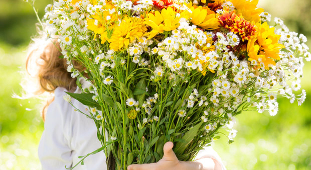 Floristik, PR-Beratung oder Weiterbildung: Kleinere Dienstleistungs-Betriebe werden in Deutschland häufig von Frauen geführt.