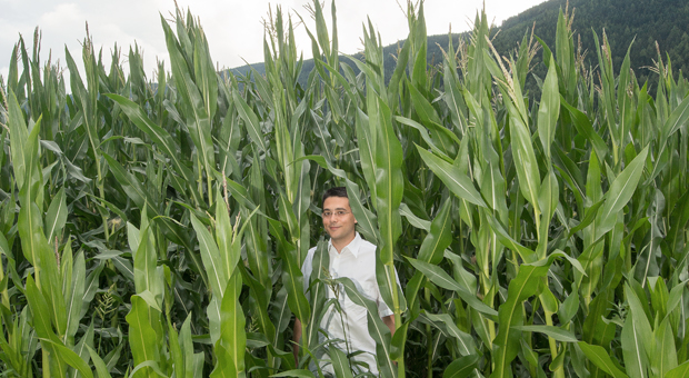 Geschäfte im Grünen: Anlagenbauer Schmack - im Bild Marketingchef Maro Mazzio - beliefert Italien von Bozen aus mit Biogasreaktoren.