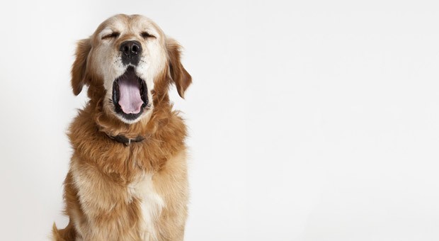 Montagsblues: Tipps gegen die Müdigkeit am Wochenanfang