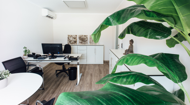 Ihr Büro hat die Unternehmerin Vanessa Weber bewußt eingerichtet: nach den Kriterien von Kaizen und Lean. © Dirk Möller