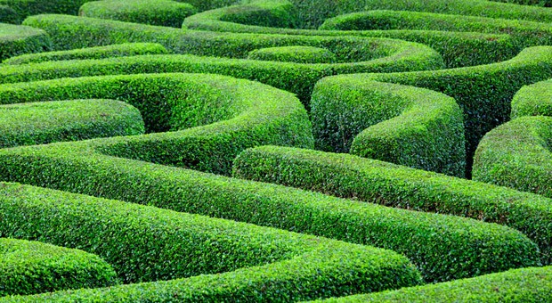 Hilfe beim Weg durchs Datenlabyrinth: Google hat viele versteckte Funktionen, die Ihnen den Arbeitsalltag erleichtern können.