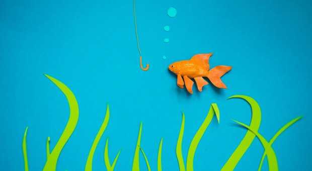 Wer ein Angebot für einen Kunden schreiben darf, hat ihn schon an der Angel. Aber wie bringt man den Fang an Land?