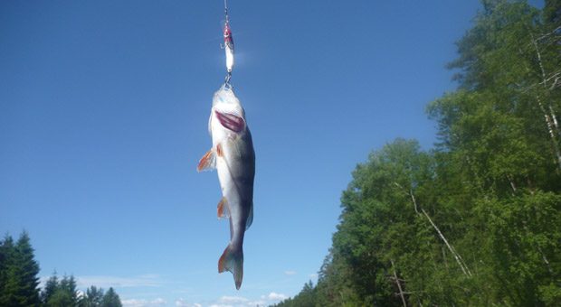 Endlich den dicken Fisch am Haken. Wer Großkunden gewinnen will, darf nicht einfach die Angel auswerfen. Es braucht eine durchdachte Strategie.
