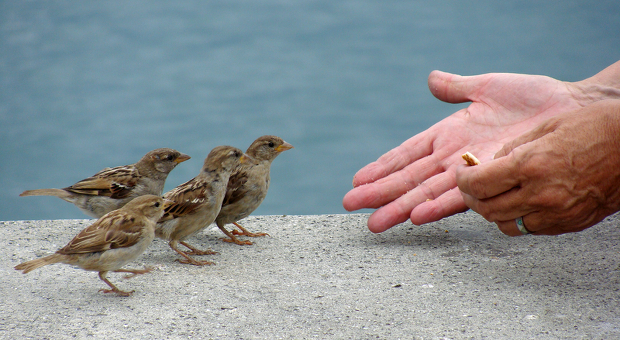 Leckerbissen und Co. - um Kunden anzulocken, sind kreative Ideen für den Messestand gefragt.