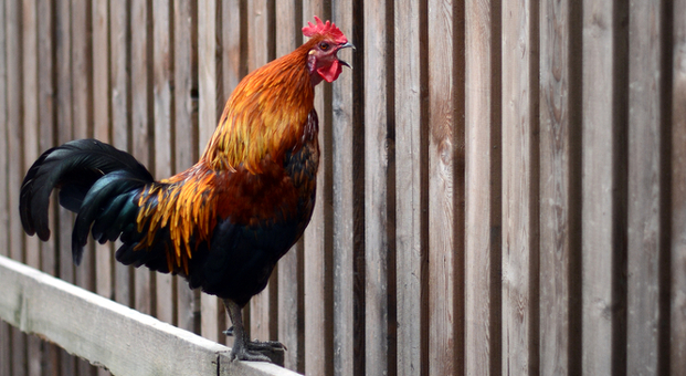 Nicht nur bei der Messe, sondern auch bei der Messenachbereitung sollte sich das Unternehmen noch einmal bei der Kundschaft Gehör verschaffen. Sonst wird viel Potenzial verschenkt.