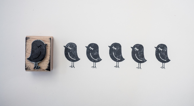 Wer bekommt den Job? Bei der Stellennachbesetzung müssen Unternehmer gut abwägen zwischen den Bewerbern.