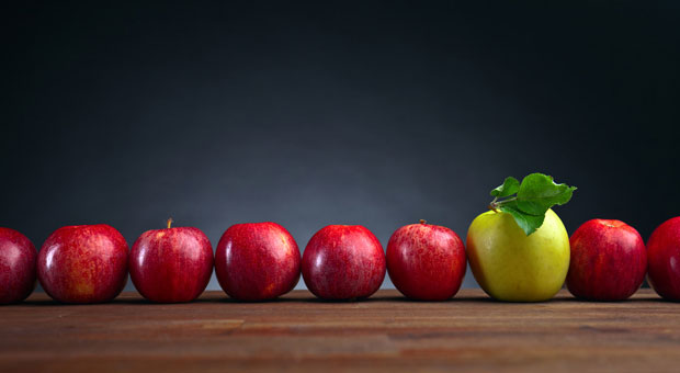 Hervorstechen um jeden Preis - doch wie diese Fehler beweisen, ist der Preis manchmal vielleicht zu hoch.