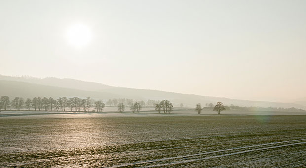 Nicht allen Unternehmen gelingt es, das unternehmerische „Niemandsland“ zu passieren. Nutzen Sie deshalb die ruhige Zeit des Jahreswechsels und hinterfragen Sie, wie sich Ihr Unternehmen entwickelt.