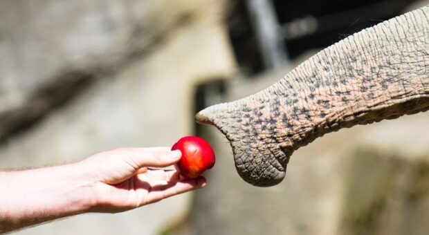 Storytelling Beispielsätze