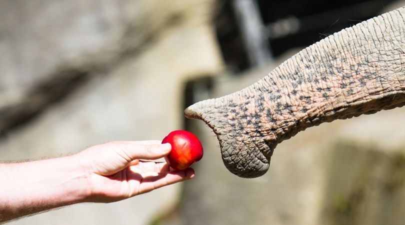 Storytelling Beispielsätze