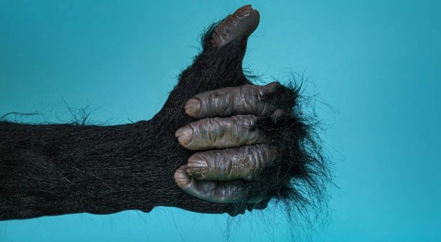 Tierisch gut oder voll daneben? Mit diesen Tipps verbessern Sie Ihren Kundenservice.