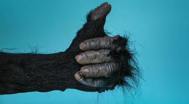 Tierisch gut oder voll daneben? Mit diesen Tipps verbessern Sie Ihren Kundenservice.