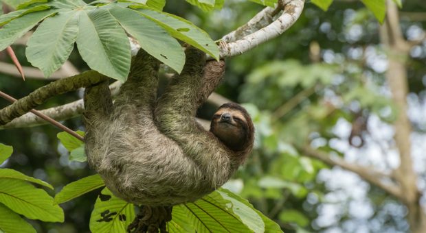 Ein Mitarbeiter hängt lieber ab, statt zu arbeiten? Wer gegen Arbeitsverweigerung juristisch vorgehen will, muss das Fehlverhalten konkret nachweisen können.