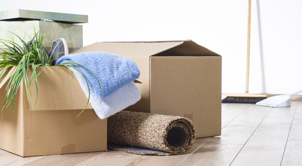 Teppich, Grünpflanze, allerlei anderen Hausrat, selbst Möbel kann man einem aktuellen Urteil zufolge bei doppelter Haushaltsführung absetzen, wenn die Zweitwohnung aus beruflichen Gründen besteht.