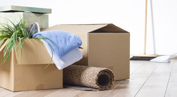 Teppich, Grünpflanze, allerlei anderen Hausrat, selbst Möbel kann man einem aktuellen Urteil zufolge bei doppelter Haushaltsführung absetzen, wenn die Zweitwohnung aus beruflichen Gründen besteht.