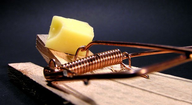 Vorsicht Falle! Dass der Käse nicht ein Festmahl, sondern den Tod bedeutet, ahnen Mäuse nicht. Ähnlich funktioniert oft unser Hirn: Es begeht Denkfehler und tappt in Wahrnehmungsfallen.