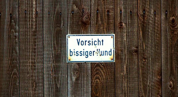 Diese Warnung sollten Arbeitnehmer besser ernstnehmen: Wer von einem als gefährlich bekannten Hund gebissen und deswegen krankgeschrieben wird, hat womöglich keinen Anspruch auf Lohnfortzahlung. Der Grund: selbstverschuldete Arbeitsunfähigkeit.
