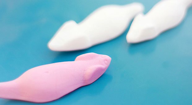 Mit Speck fängt man Mäuse - doch mit welchem Köder überzeugt man Bewerber von seinem Unternehmen?