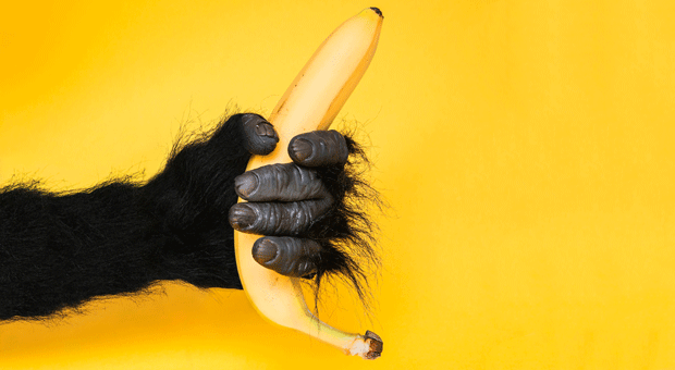 Macht der Chef Fehler beim Delegieren, regiert im Unternehmen das "Monkey Business".