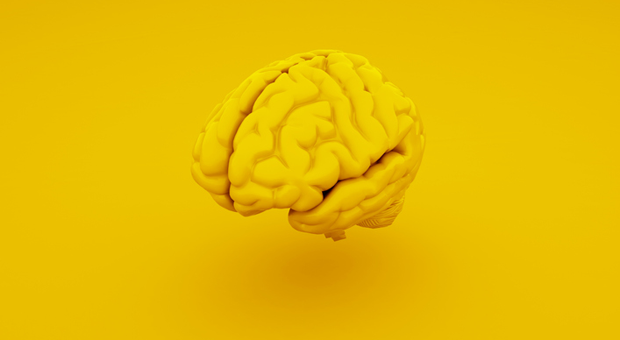 Intelligenz bedeutet nicht automatisch Erfolg - sondern für manche beruflichen Stillstand.