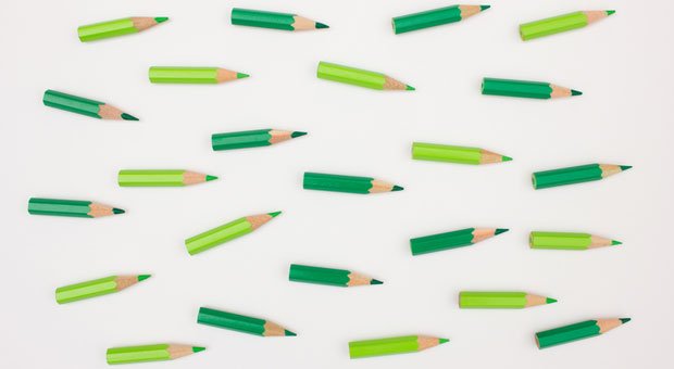 Nicht nur Grünfärberei: Mit diesen Ideen wird Nachhaltigkeit in Ihrem Unternehmen bald groß geschrieben.