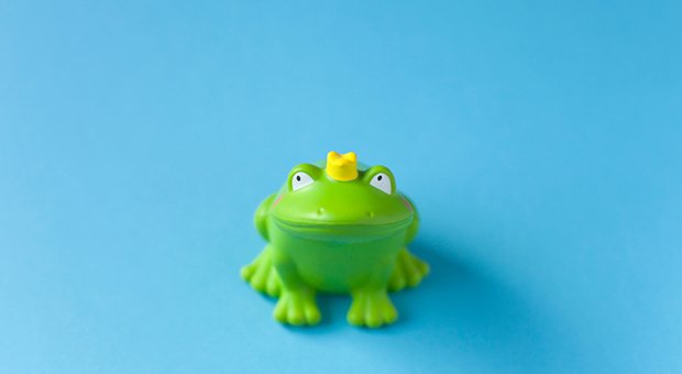 Ist der Kunde in Ihrem Unternehmen König - oder doch eher Frosch?