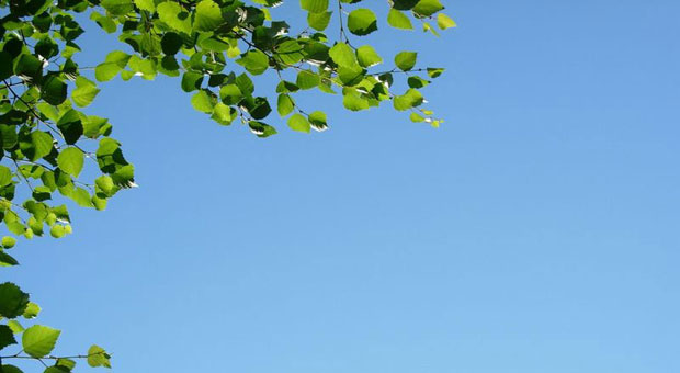 Im Urlaub einfach mal in den Himmel schauen, Zeit mit der Familie verbringen - das ist Björn Waide wichtiger, als permanent erreichbar zu sein.