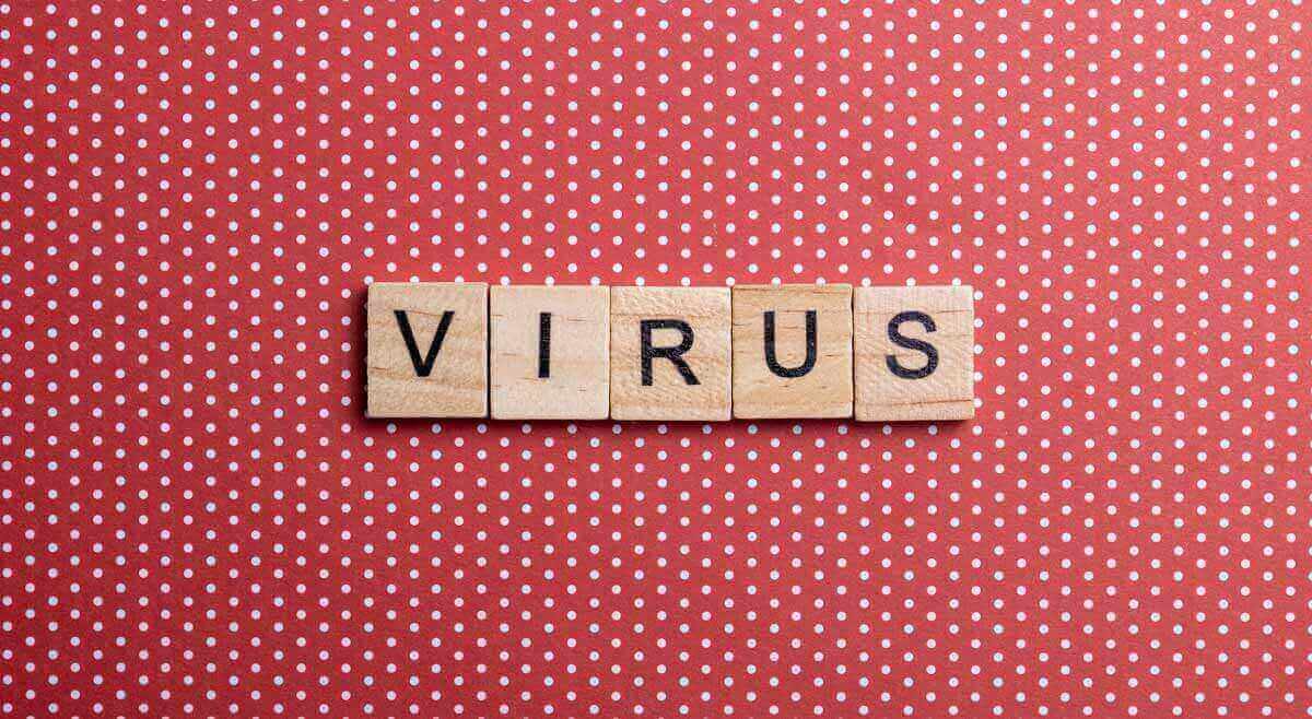 text zum coronavirus