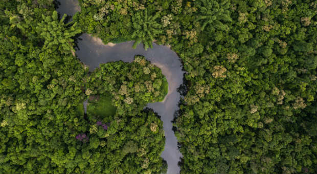 Marc Wallerts Dschungelstrategie hilft ihm auch während der Corona-Krise