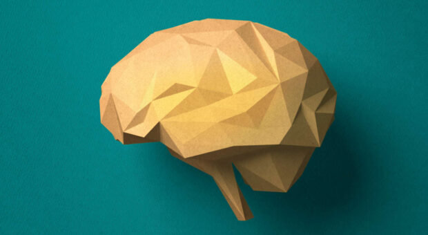 Wissen zugänglich machen