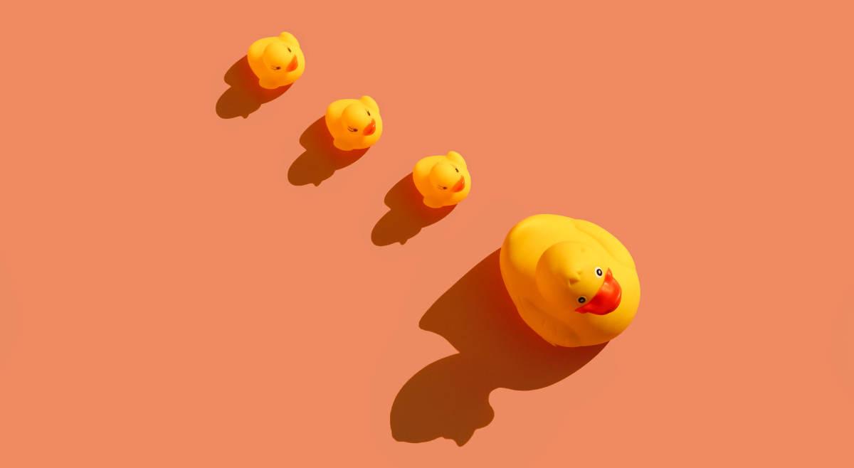 Gruppendynamiken - hier symbolosiert durch Quietscheneten, die einer großen Ente folgen.