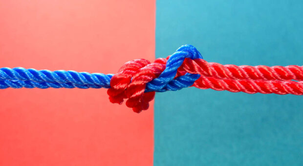 Kooperationspartner finden