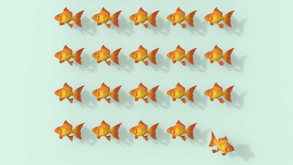 Morphologischer Kasten