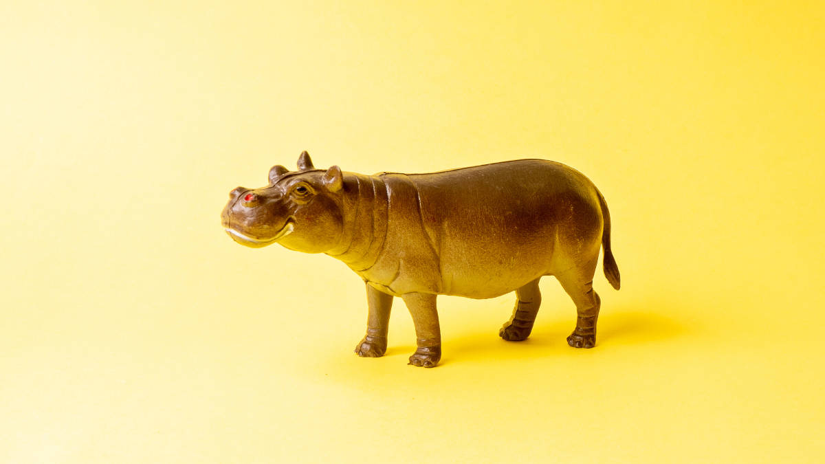 Ein Nilpferd auf gelbem Grund