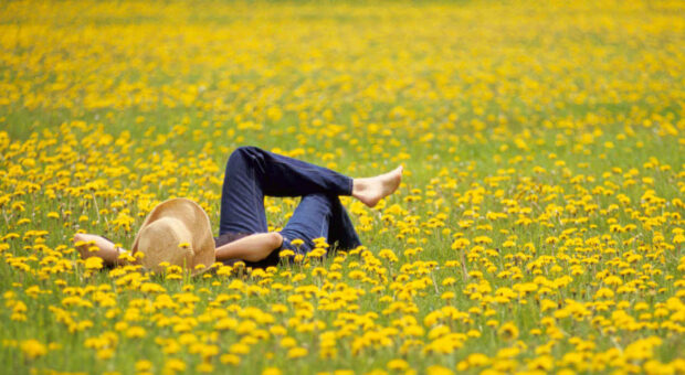 Eine Person mit Strohhut liegt in einem Feld aus Löwenzahn-Blumen