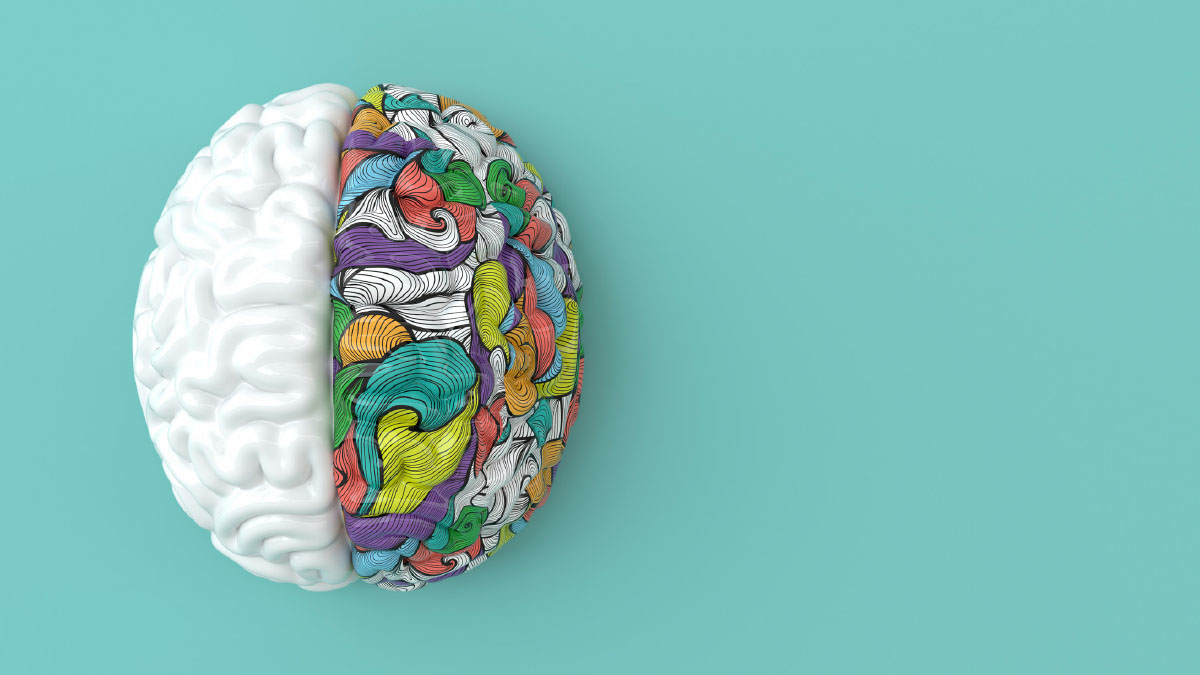 Ein unechtes Gehirn, welches auf der einen Hälfte weiß und auf der anderen komplett bunt ist. Es liegt auf blauem Hintergrund.